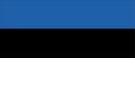 Estonia Investigator Detective