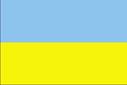 Ukraine Investigator Detective