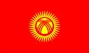 Kyrgyzstan Investigator Detective